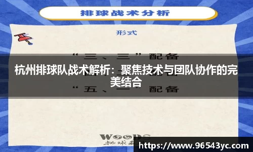 杭州排球队战术解析：聚焦技术与团队协作的完美结合