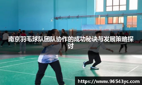 南京羽毛球队团队协作的成功秘诀与发展策略探讨